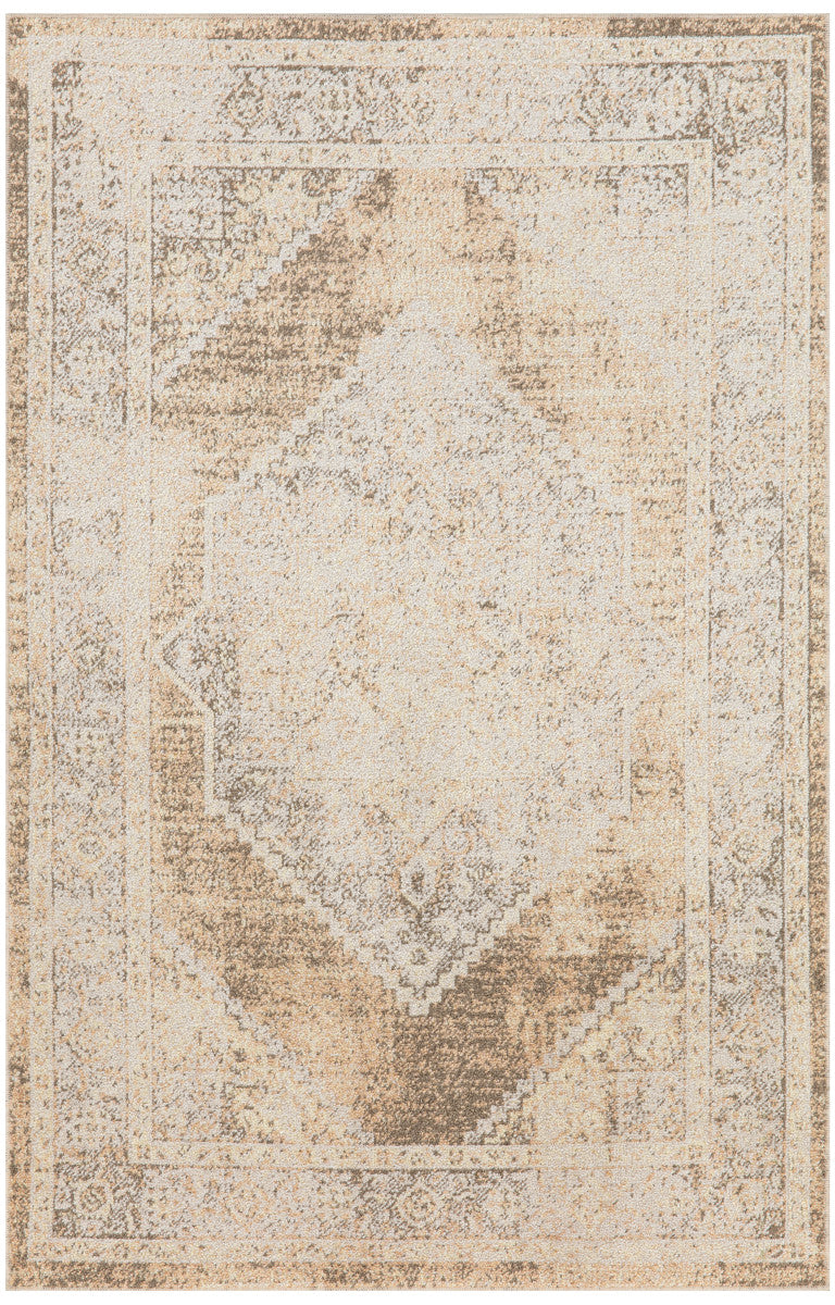 Nourison Astra Beige Pet Friendly Machine Washable Rug - 2'2" x 4'