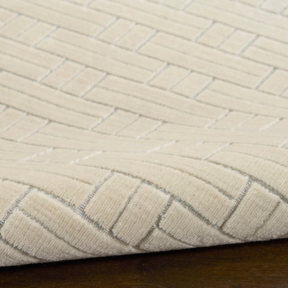 Nourison Charm Ivory Pet Friendly Machine Washable Rug - Texture