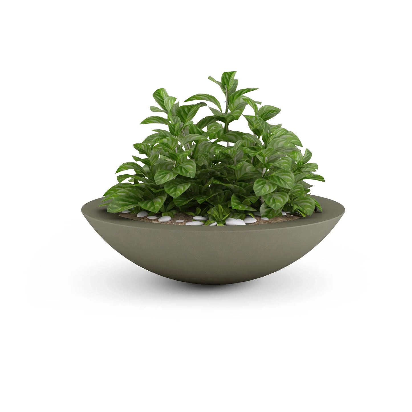 Oceanside Outdoor Shallow Planter