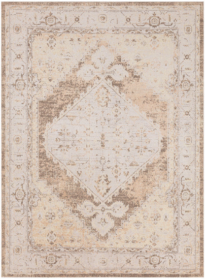 Nourison Astra Beige Pet Friendly Machine Washable Rug - 5'3" x 7'