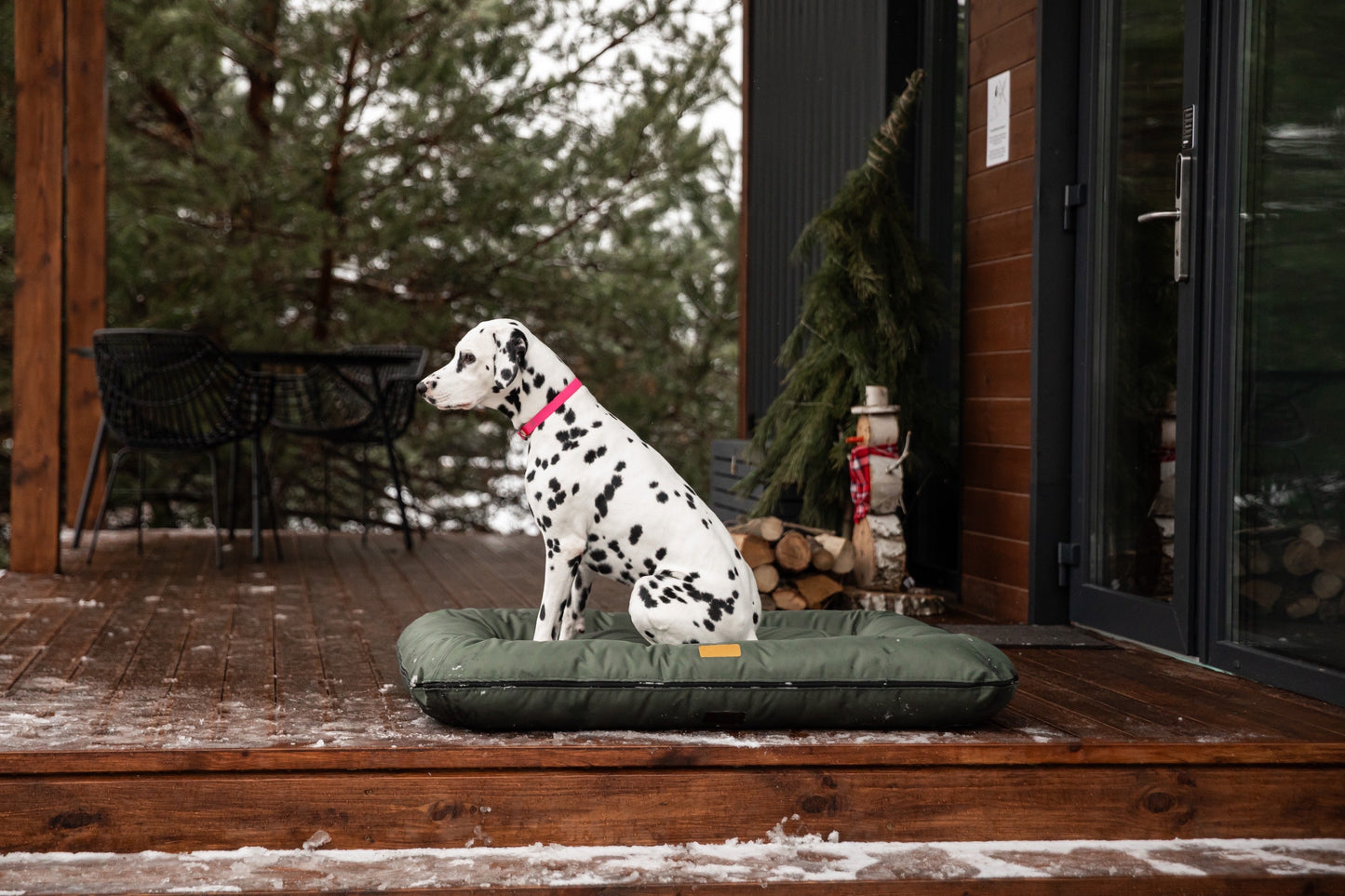 Green Waterproof Lounger Pet Bed