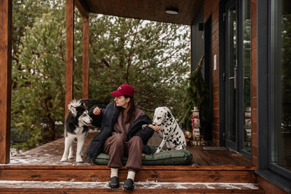 Green Waterproof Lounger Pet Bed